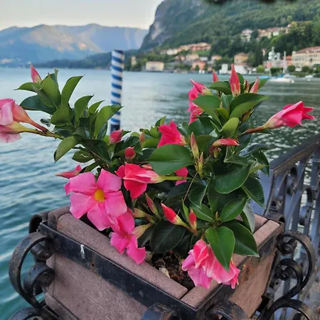 Ferienhaus Paradise Vista Di A *