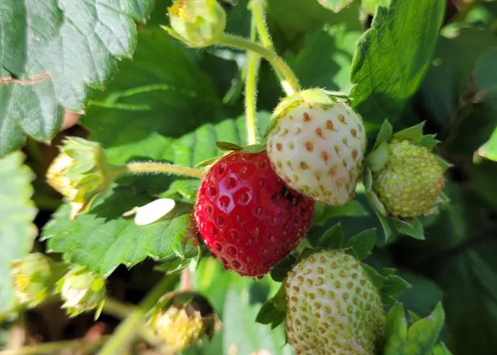 Σπίτι διακοπών Paradise Vista Di A Μενάτζιο