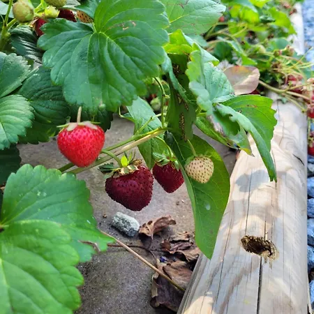 Сasa de vacaciones Paradise Vista Di A *