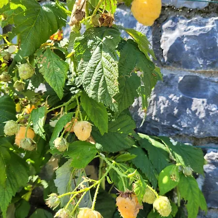 度假居 Paradise Vista Di A 梅纳焦