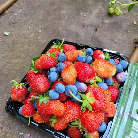 度假居 Paradise Vista Di A *